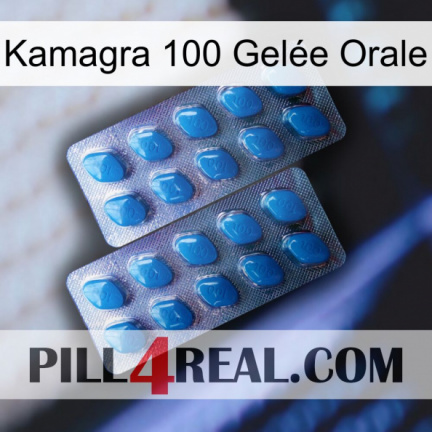 Kamagra 100 Gelée Orale viagra2